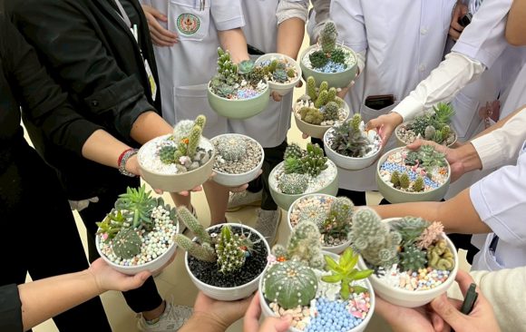 กิจกรรมนอกหลักสูตร (Extra-curriculum) สำหรับนักศึกษาเเพทย์ชั้นคลินิก หัวข้อ การทำจัดสวนถาด